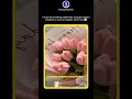 This Girl Turned Pipe Cleaners Into a Viral Flower Business #shorts #marketing #trending