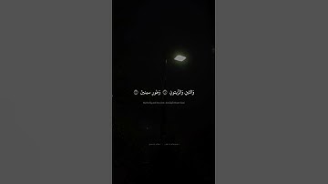 وَالتّينِ وَالزَّيتونِ وَطورِ سينينَ | محمد صديق المنشاوي | سورة التين