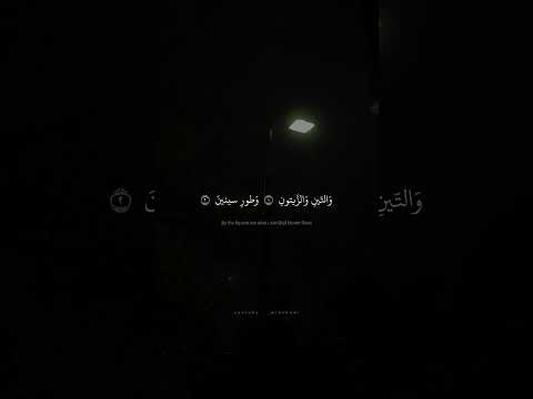 و الت ين و الز يتون و طور سينين محمد صديق المنشاوي سورة التين