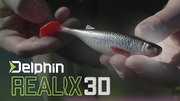 Delphin Realix 3D