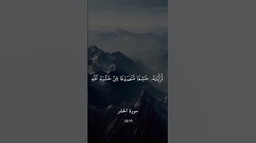 #رعد_الكردي | تلاوات خاشعه من #سورة_الحشر #قران_كريم