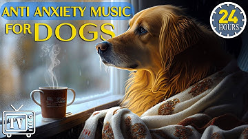 24 Hours of Music for Dogs Who are Alone: Cure Separation Anxiety & Calming Stress Relief for Dogs