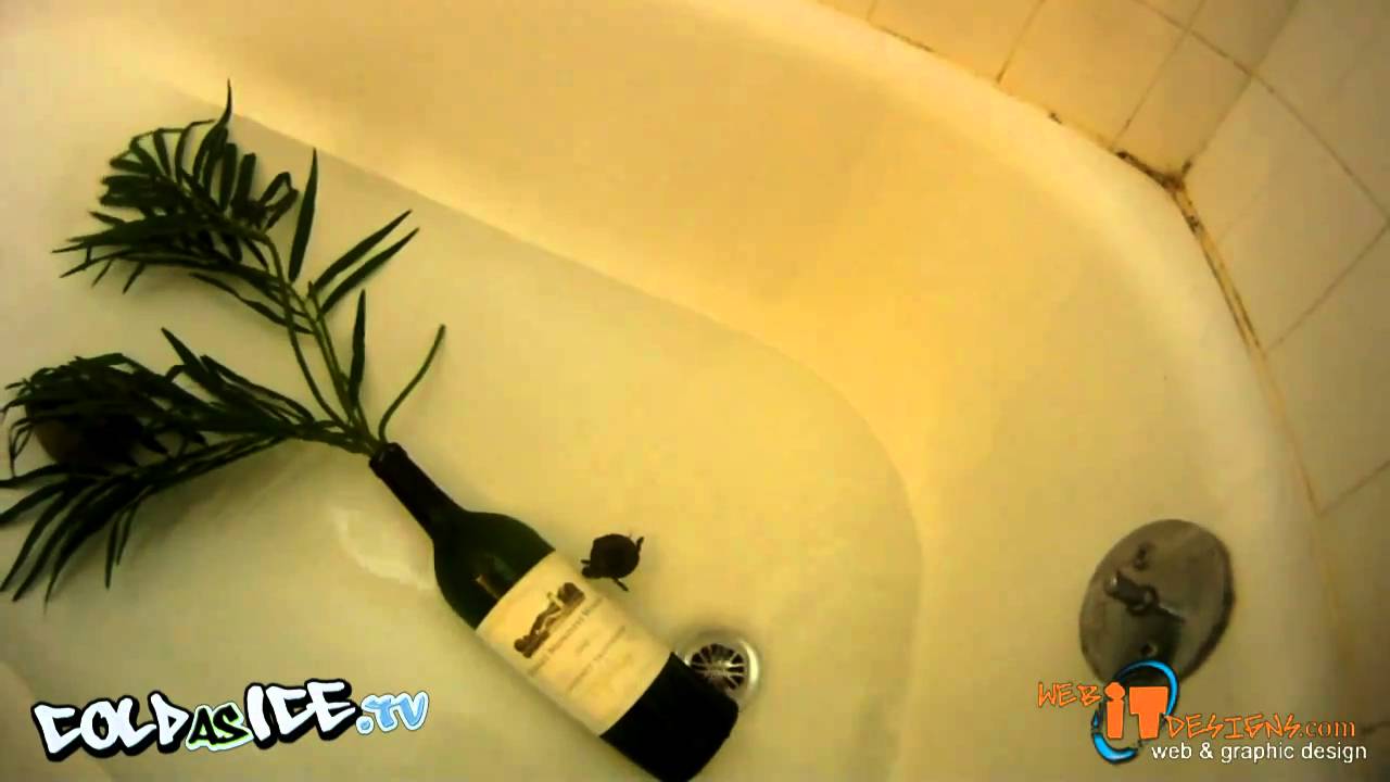 Keri Herman's New Roommates - ColdAsIce.TV