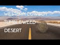 Cowboy Desert Tumbleweed Sound Effect Western Theme Wild West Ambience 