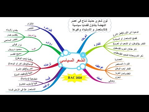 الشعر السياسي 