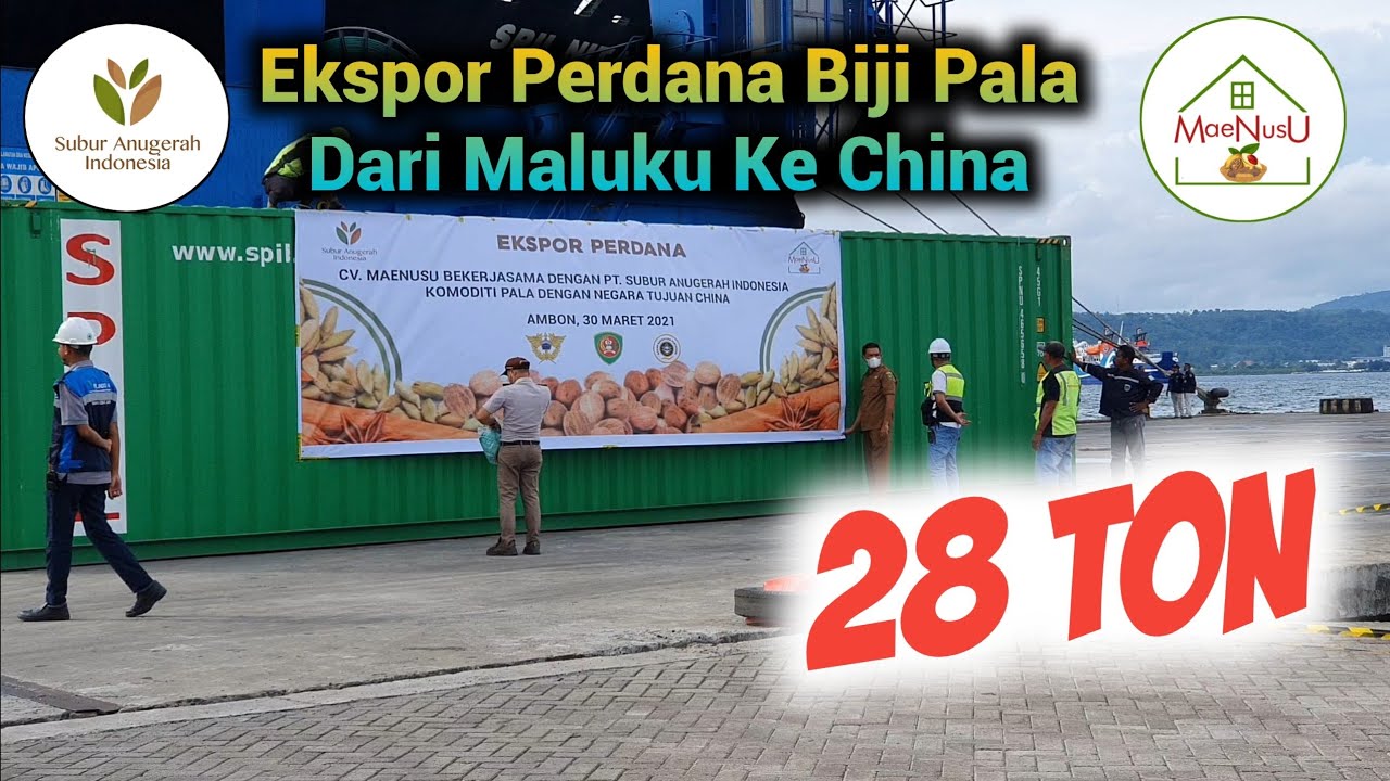 Ekspor Perdana Komoditi Pala Dari Maluku Ke China