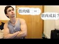 【筋トレ】筋肉痛にならないと筋肉は付かない!?