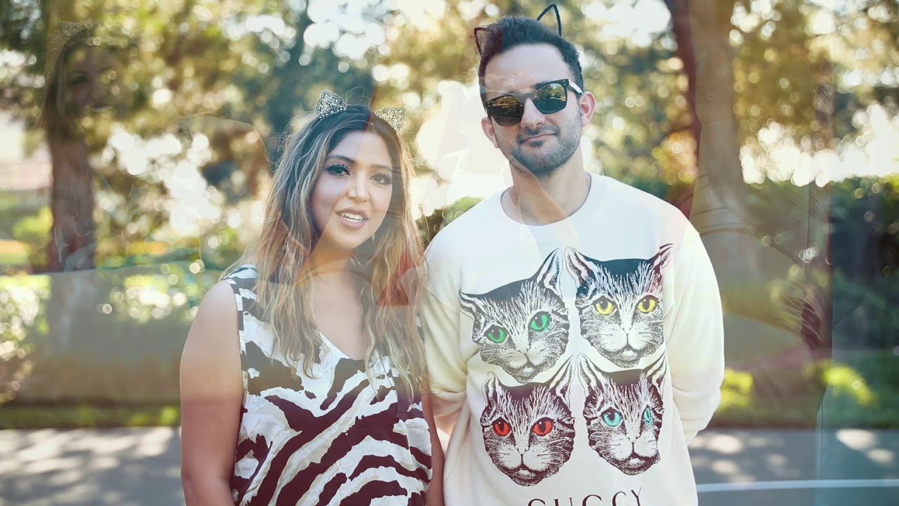 Charlie's 2nd Birthday Kitten Pawty