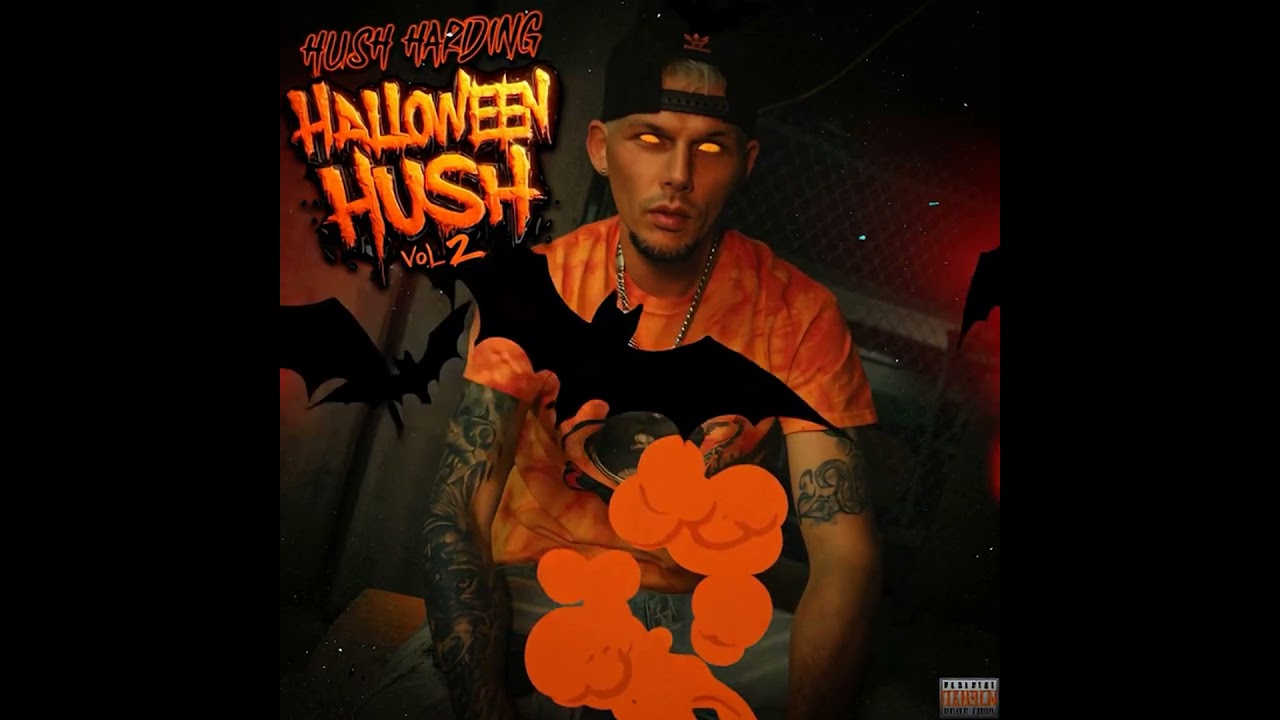 Hush Harding - Melting Pot (Visualizer)