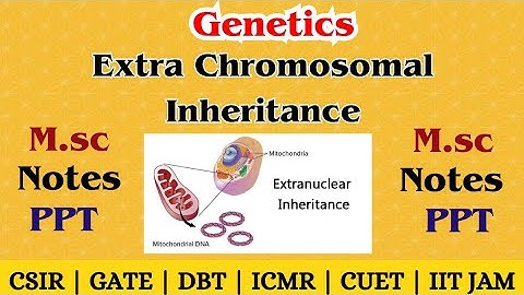 Extra Chromosomal Inheritance | Mitochondrial & Plastid DNA | Non-Mendelian Genetics