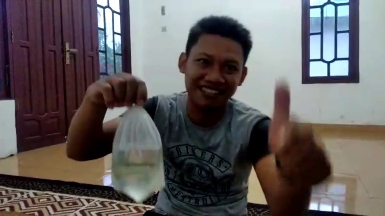  Arwana  super langka jardini dari papua YouTube