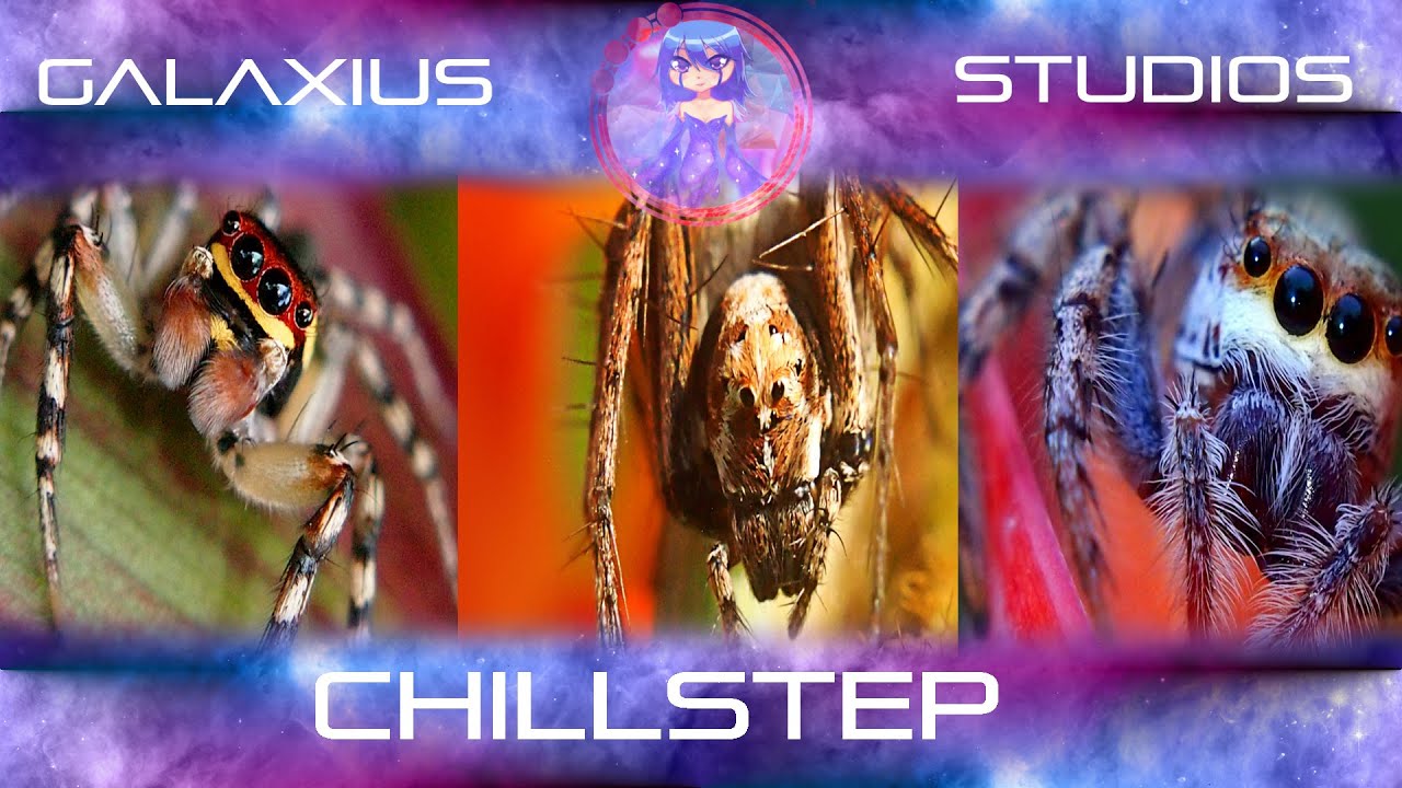 [CHILLSTEP] Nightcall - Unknown