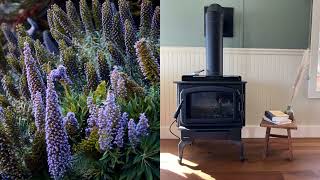 Jenner Inn on California's Sonoma Coast