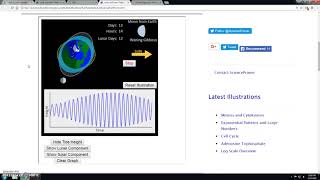 Totally Tidal Simulation