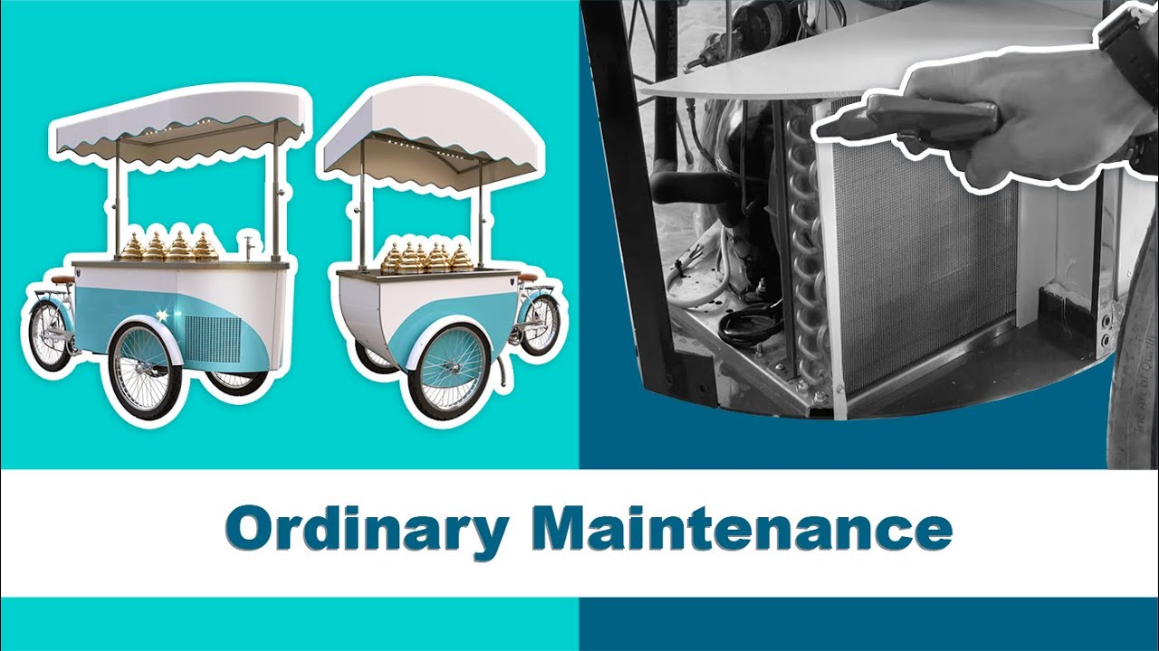 13 - Ordinary Maintenance on Your TeknèItalia's Cart