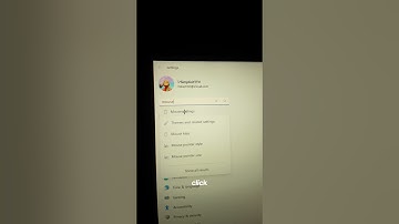 How to Get a Custom Mouse Pointer🤔