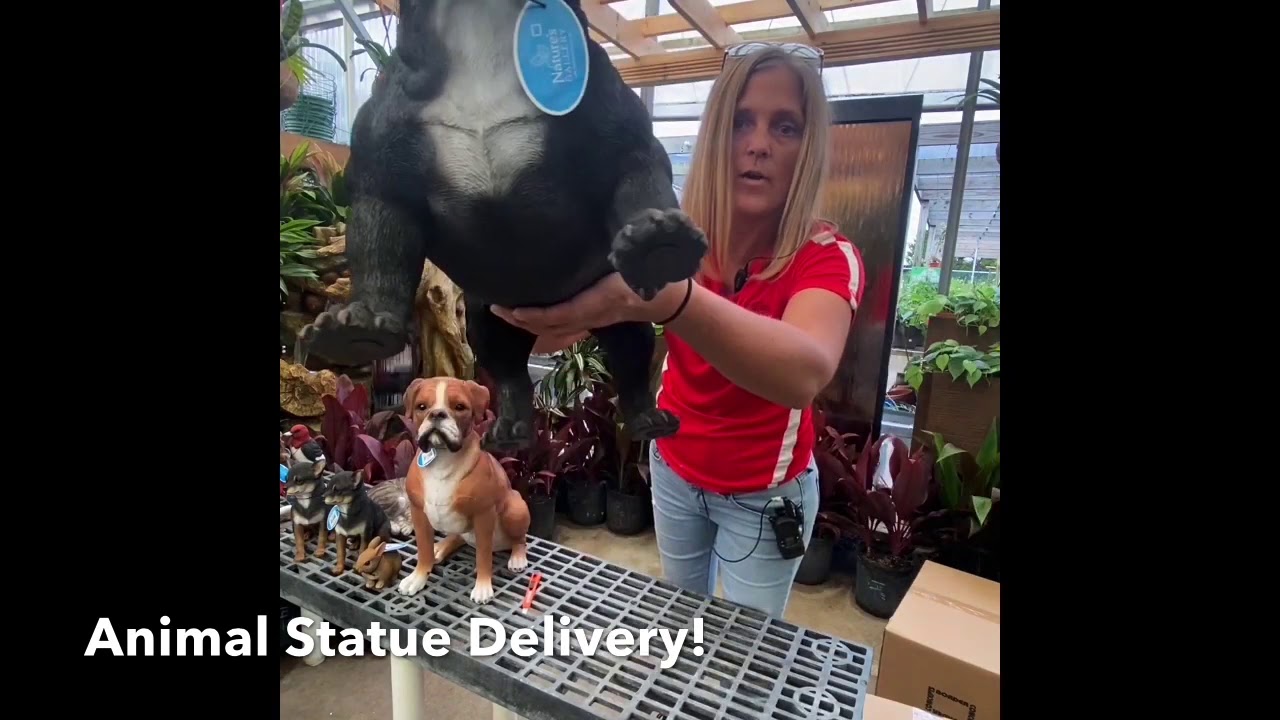 Animal statues! New!