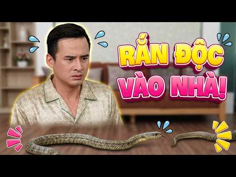 Gia đình là số 1 Phần 2 | Thứ mà ba Lam Chi sợ nhất trên đời