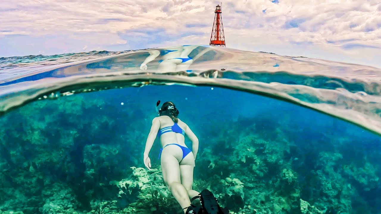 Snorkeling Sombrero Reef Florida Keys | Giant Stingray & Epic Coral Reef