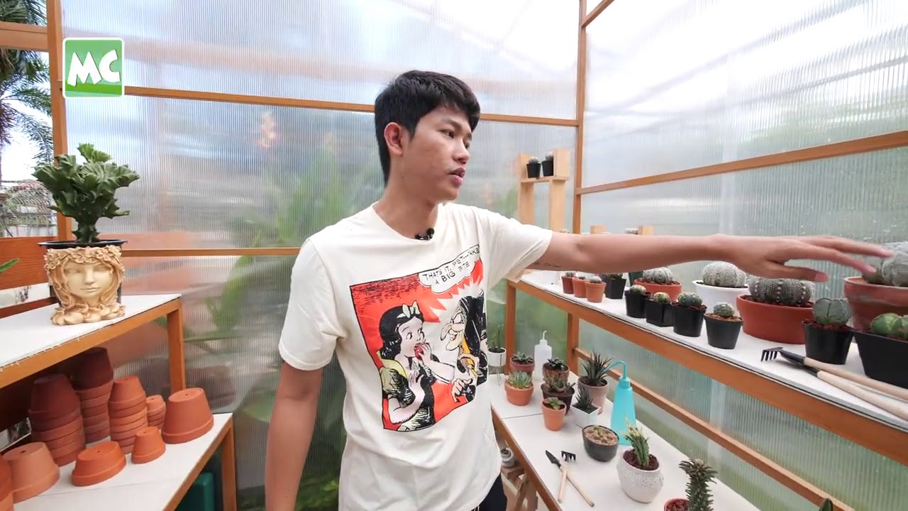 ကျော်ထက်အောင် ရဲ့ ရှားစောင်းပင် Greenhouse Open Door!