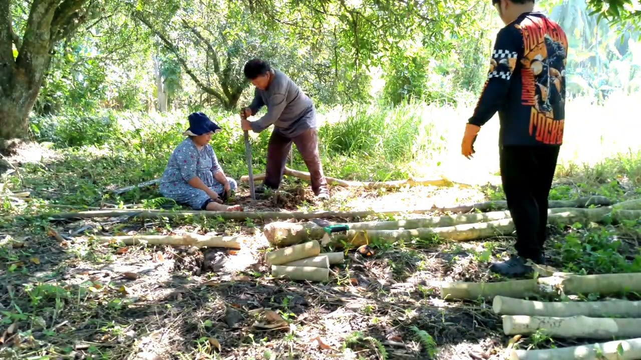 Primitive life style Day 2 (part 1)