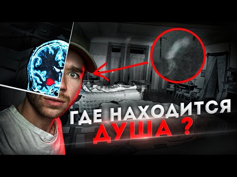 Создали человека без ДУШИ? РазМИШления