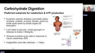 Metabolism and Nutrition - Chapter 23 (AP2)