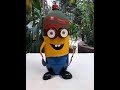 Os minions em PET - Vídeo 02