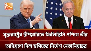 Ginekolog bemorning mushukini yalaydi. Mushuk soqolini olish fotosuratlari