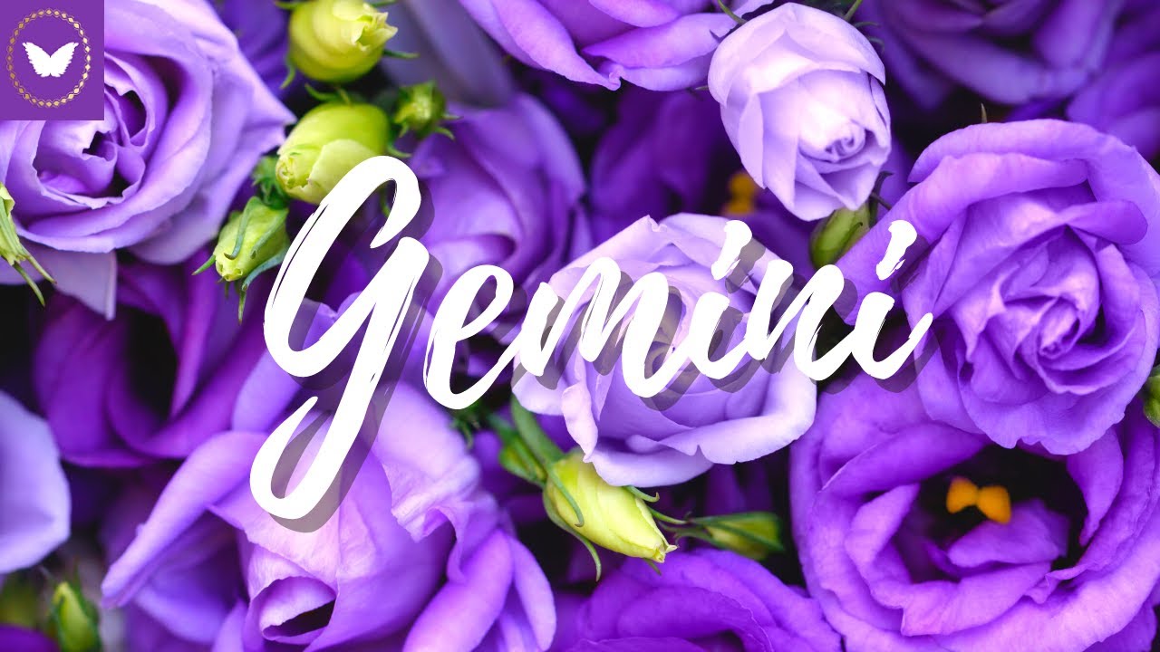 Gemini you will be so happy for what is about to happen! 💖 December 2021 Tarot