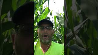 Famous Evaluating Nitrogen programs part 1 Wealth