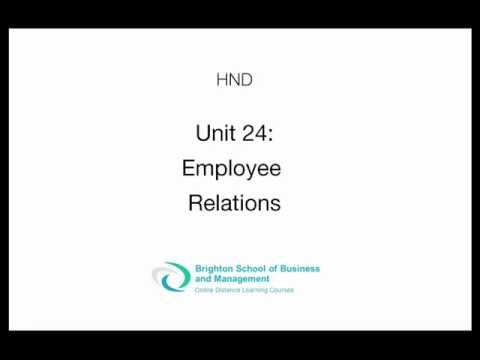 Unit 24 Employee Relations Assignment
