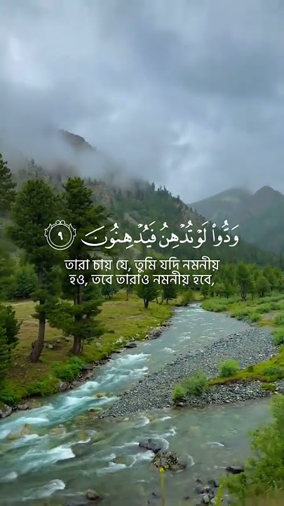 Surah Al Qalam #shorts #quran