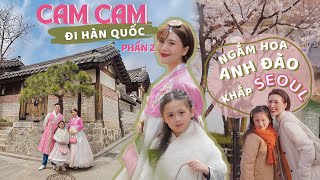 10 NGÀY VI VU HÀN QUỐC CỦA CAM CAM.  PHẢI ĐẾN NHỮNG ĐỊA ĐIỂM NÀY VÀO MÙA XUÂN BẠN NHÉ!!! 😍😍😍