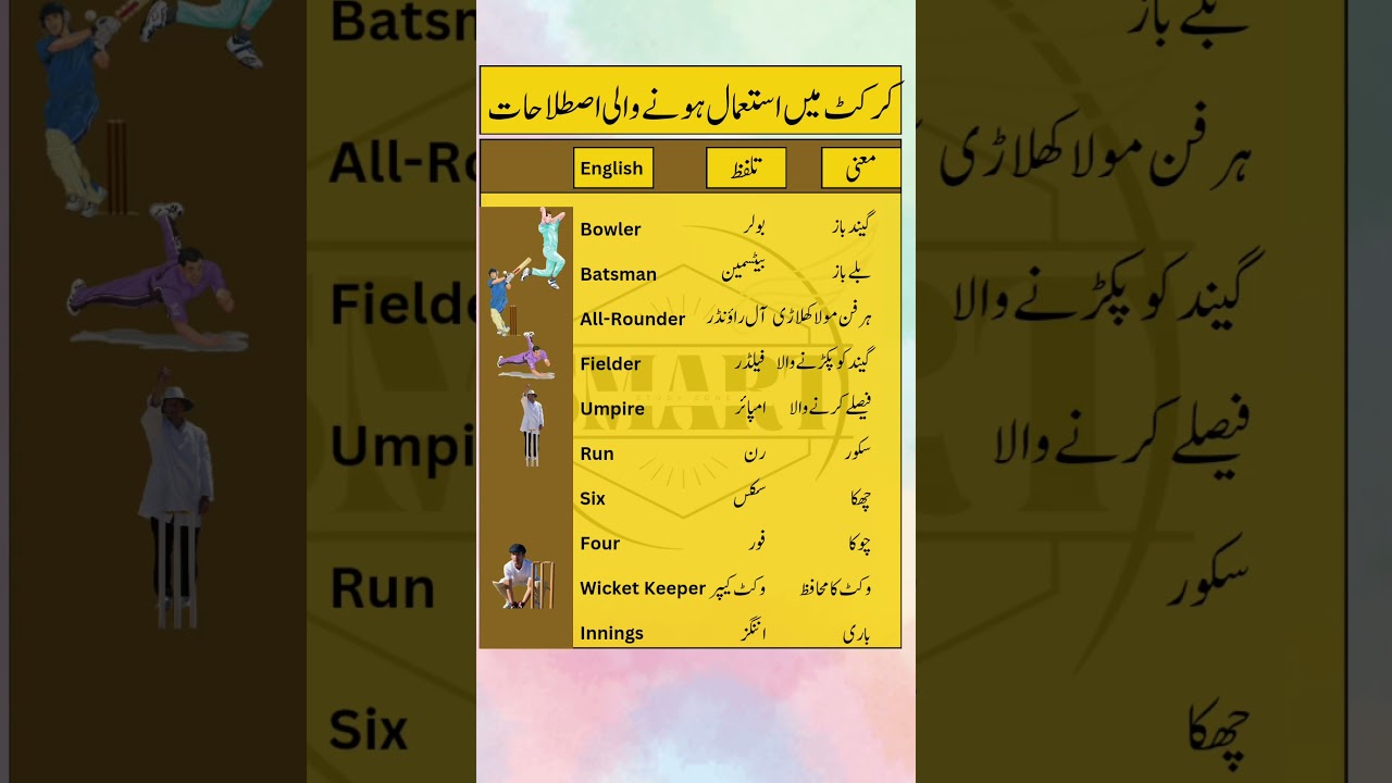 Cricket Roles and Terms in English with Urdu Meanings | Learn Sports Vocabulary