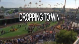 Keys to Winning Handicapping at Del Mar