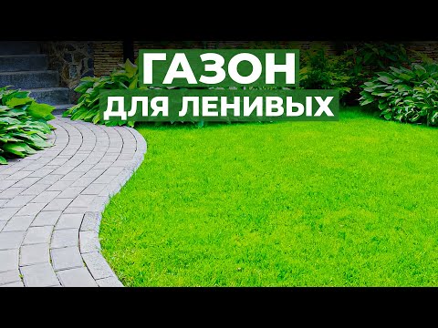 СУПЕР ГАЗОН для ленивых! Вы удивитесь, как ПРОСТО за ним ухаживать.