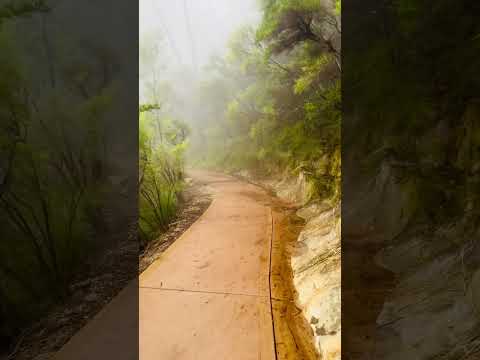 Australia Scenic Walk