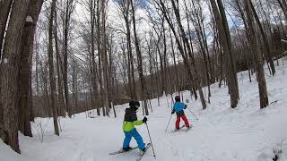 Gh011694 Blue Jay Holiday Valley Presidents Day 2020