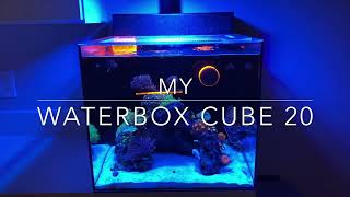 Waterbox Cube 20 6 Month Update