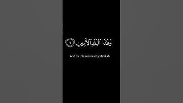سورة التين والزيتون #القرآن_الكريم#رونالدو #جيش_التوام