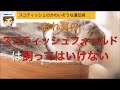 おれ耳のスコティッシュフォールドを飼ってはいけない、かわいそうな理由4選　〜骨軟骨異形成症という遺伝病〜【獣医師がやさしく解説】