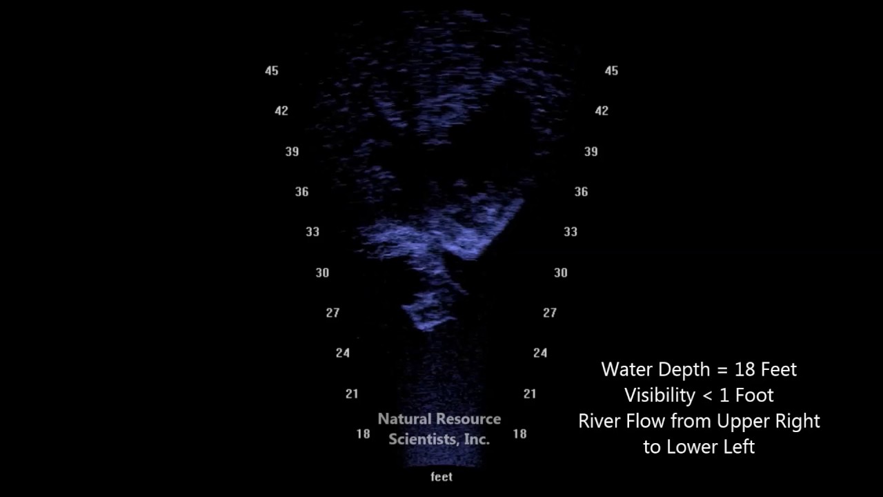 Juvenile Salmon Rearing Habitat Structures 1 YouTube