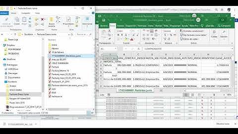 Lectura del reporte de la facturas electrónicas SRI en Excel
