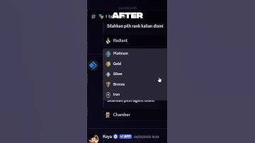 before after discord valorant #discord #community #ai #chatbot #web3 #crypto
