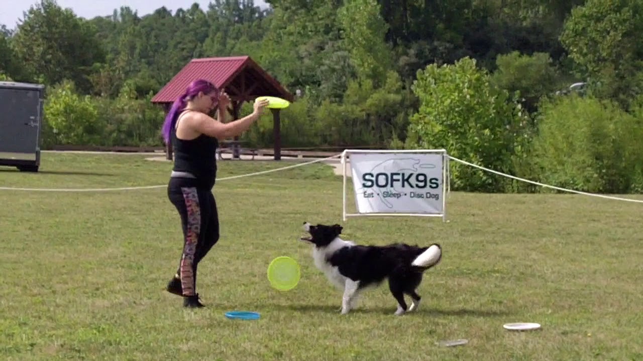 Wagfest 2019: Freestyle Flying Disc