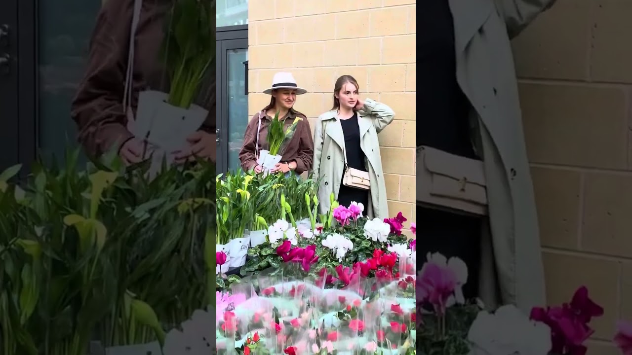 Happy women’s day 🌸🌸🌸🌸