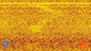 Snullys Trip To Crazeeland