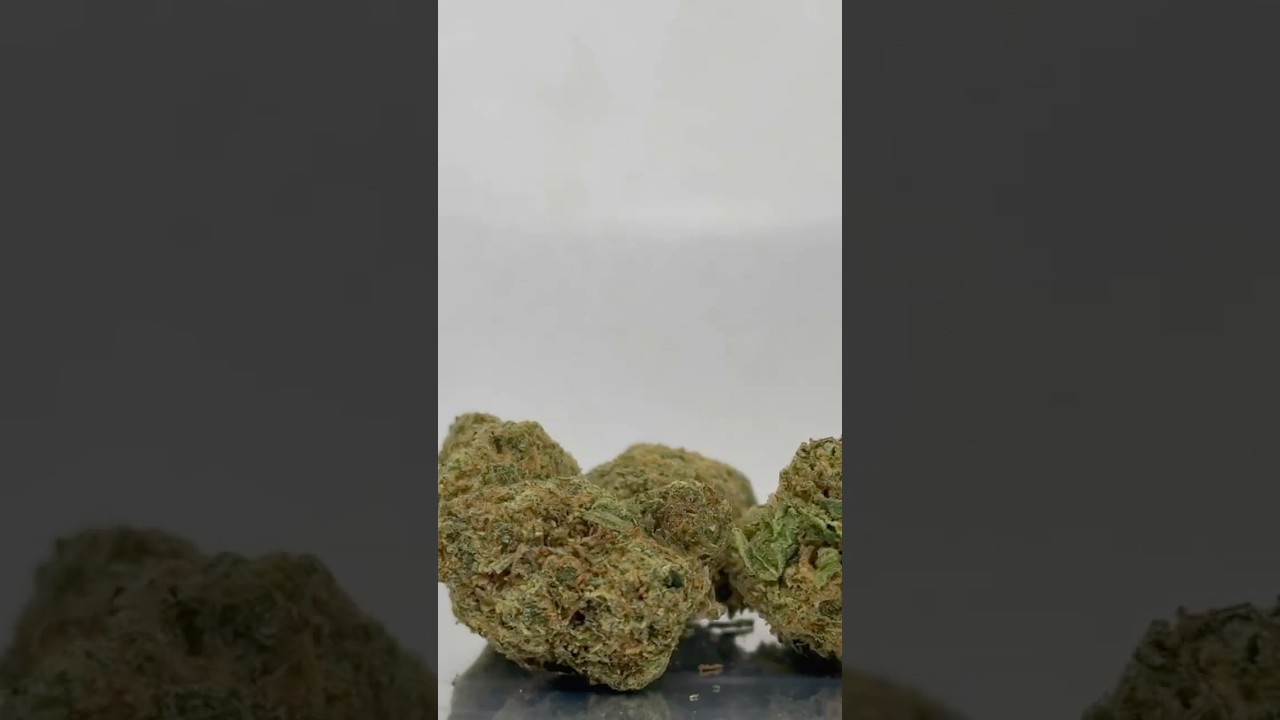 Click here for the zowahh flower