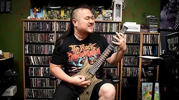 Defeated Sanity - Suttee [Guitar playthrough]